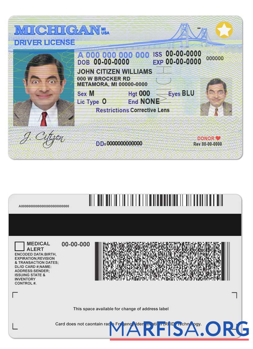 Realistic USA Michigan driving license example